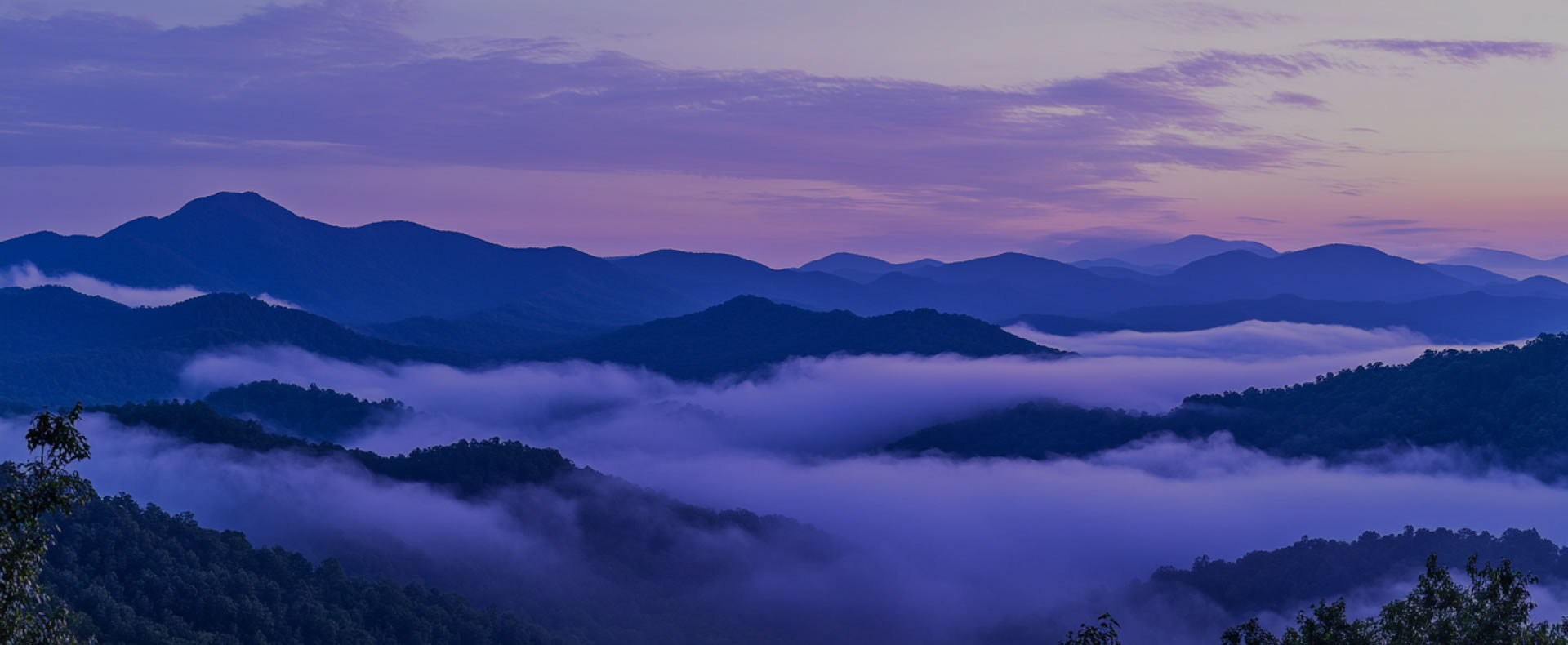 優(yōu)勢(shì)特點(diǎn)